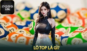 Lô top là gì?